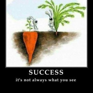 Meet your Posher, Kaylan